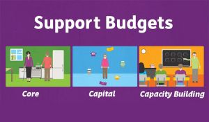 What are the three categories of NDIS support?