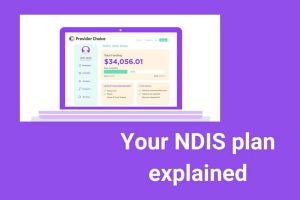 Can you make money in NDIS?