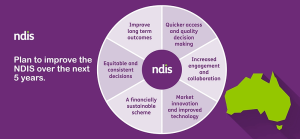 What is a community access plan?