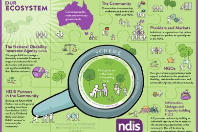 Understanding NDIS: A State-by-State Breakdown